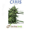 Lemonesia Female Female Cannabis Seeds Feminised marijuana cannabis seeds at one stop seeds and accessories Scotland Glasgow