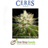 Northern Lights x Skunk #1 Cannabis Seeds Feminised marijuana cannabis seeds at one stop seeds and accessories Scotland Glasgow