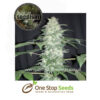 Killa Watt Feminized Weed Seeds Cannabis Seeds Female Marijuana Seeds Feminised Cannabis Female Skunk marijuana cannabis seeds at one stop seeds and accessories Scotland Glasgow uk