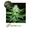 Cheese Wreck Feminized Cannabis Seeds Female Marijuana Seeds Feminised Cannabis Female Skunk marijuana cannabis seeds at one stop seeds and accessories Scotland Glasgow uk