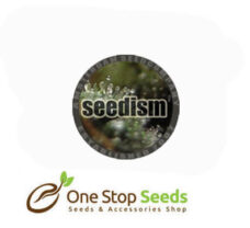 Seedism Seeds
