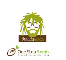 Dready Seeds