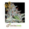 Skywalker Kush Feminized Cannabis Seeds Female Cannabis Seeds Female Skunk marijuana cannabis seeds at one stop seeds and accessories Scotland Glasgow uk