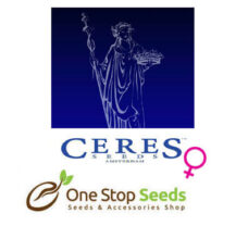 Ceres Seeds