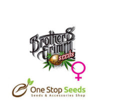 Brothers Grimm