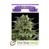 Critical Neville Haze from Delicious Seeds Skunk marijuana cannabis seeds at one stop seeds and accessories Scotland Glasgow uk