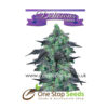 Golosa from Delicious Seeds from Delicious Seeds Skunk marijuana cannabis seeds at one stop seeds and accessories Scotland Glasgow uk