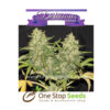 Critical Super Silver Haze from Delicious Seeds Skunk marijuana cannabis seeds at one stop seeds and accessories Scotland Glasgow uk
