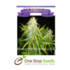 Il Diavolo from Delicious Seeds Skunk marijuana cannabis seeds at one stop seeds and accessories Scotland Glasgow uk