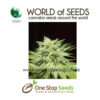 world of seeds afghan kush marijuana cannabis seeds at one stop seeds and accessories Scotland Glasgow uk