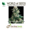 world of seeds world of seeds pakistani valley marijuana cannabis seeds at one stop seeds and accessories Scotland Glasgow uk