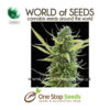 world of seeds Colombian Gold marijuana cannabis seeds at one stop seeds and accessories Scotland Glasgow uk