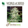 world of seeds Mazar Kush marijuana cannabis seeds at one stop seeds and accessories Scotland Glasgow uk