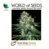 world of seeds Skunk 47 marijuana cannabis seeds at one stop seeds and accessories Scotland Glasgow uk