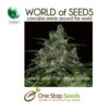 world of seeds wild thailand marijuana cannabis seeds at one stop seeds and accessories Scotland Glasgow uk