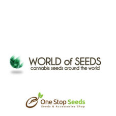 World of seeds