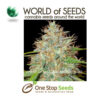 afghan kush x skunk marijuana cannabis seeds at one stop seeds and accessories Scotland Glasgow uk