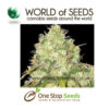 world of seeds Afghan Kush x Yumbolt marijuana cannabis seeds at one stop seeds and accessories Scotland Glasgow uk