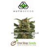 Auto seeds Auto Pounder Feminised marijuana cannabis seeds at one stop seeds and accessories Scotland Glasgow uk
