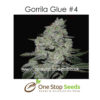 Gorilla Glue #4 Feminised Feminised marijuana cannabis seeds at one stop seeds and accessories Scotland Glasgow uk