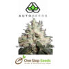 Auto seeds Hijack marijuana cannabis seeds at one stop seeds and accessories Scotland Glasgow uk