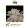 Trans Siberian Automatic Feminised marijuana cannabis seeds at one stop seeds and accessories Scotland Glasgow uk