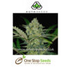 Ultra Lemon Haze Automatic Feminised marijuana cannabis seeds at one stop seeds and accessories Scotland Glasgow uk