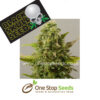 Blackskull CriticalRyder feminized seeds at one stop seeds and accessories Scotland Glasgow uk