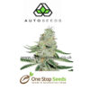 Auto seeds Auto Dreamberry Feminised marijuana cannabis seeds at one stop seeds and accessories Scotland Glasgow uk
