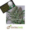 Blackskull Speed Haze marijuana cannabis seeds at one stop seeds and accessories Scotland Glasgow uk