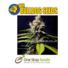 The Bulldog Blueberry 420 Auto Feminized Seeds at one stop seeds and accessories Scotland Glasgow uk