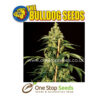 The Bulldog Jack Herer Auto Feminized Seeds at one stop seeds and accessories Scotland Glasgow uk