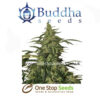 Buddha seeds White Deimos at one stop seeds and accessories Scotland Glasgow uk
