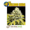 Seedbank The Bulldog Seeds Genetics Afghan Sex Regular Variety Pure Indica Flowering Type Photoperiod THC Content High CBD Content Low (0-1%) Yield High Plant Height Medium Grows Grows Indoors, Grows Outside Flowering Time 8-9 Weeks
