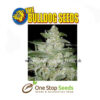 Bulldog seeds White Widow at one stop seeds and accessories Scotland Glasgow uk