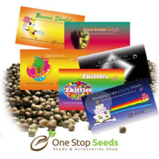 One Stop seeds
