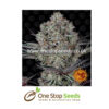 Barney's farm DOS SI DOS 33 from One stop seeds united kingdom
