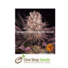 MIMOSA X ORANGE PUNCH from One stop seeds united kingdom